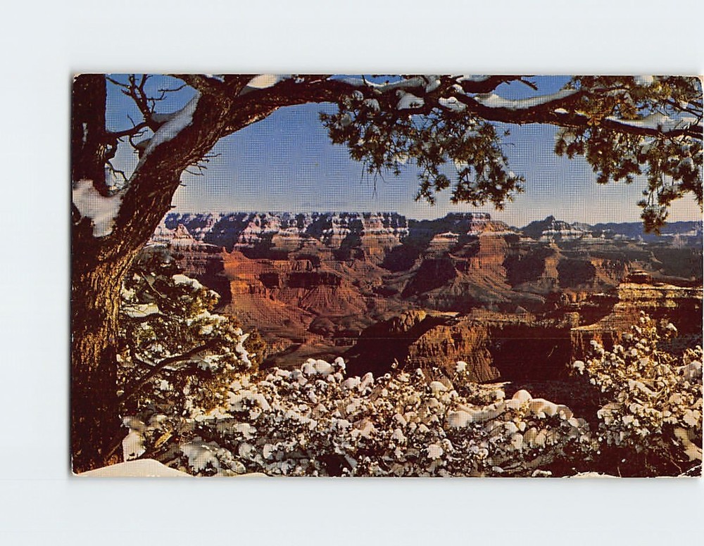 Postcard Grand Canyon National Park Arizona USA