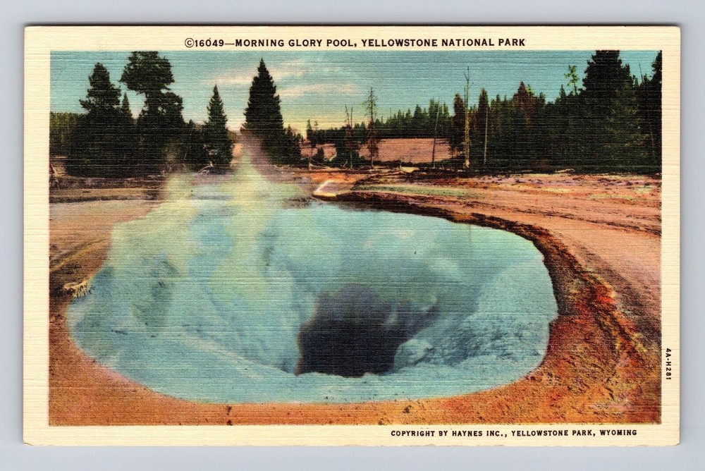 Yellowstone National Park, Morning Glory Pool, Vintage Postcard