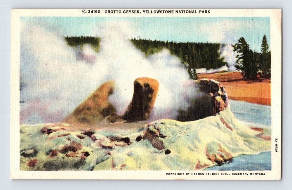 Vintage Grotto Geyser Yellowstone National Park Postcard by Haynes Studios