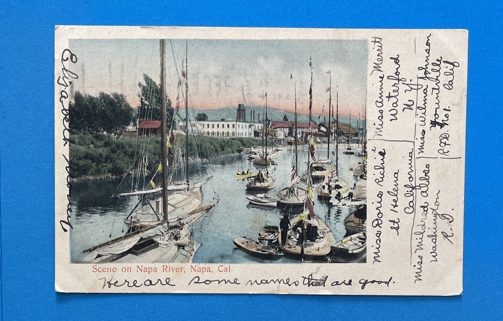 Napa California Napa River Scene 1906 Vintage Postcard Undivided Back