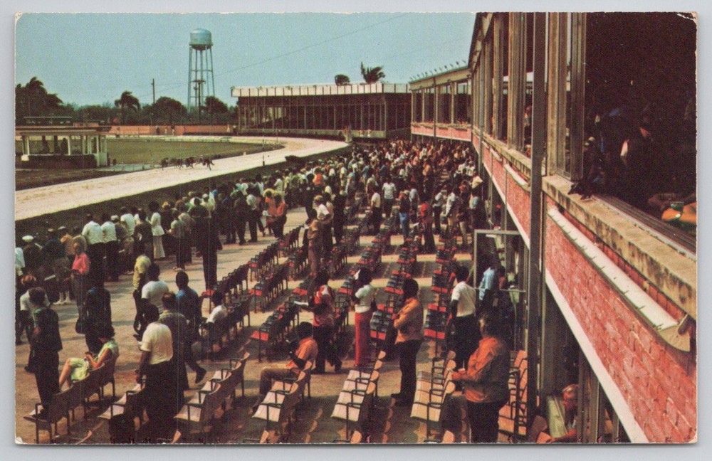 Palm Beach Kennel Club Greyhound Racing Florida Vintage Postcard