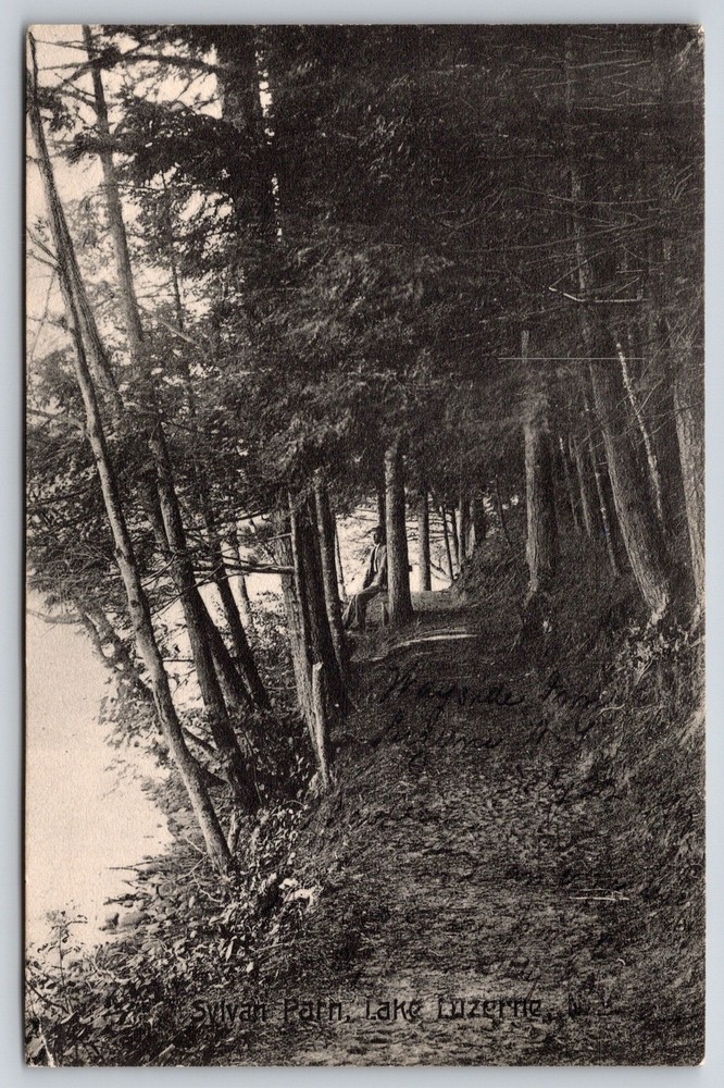 New York~Lake Luzerne~Sylvan Path~Man Sitting On Shoreline~Forest~1907 Postcard