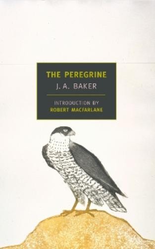 J. A. Baker The Peregrine (Paperback)Another great item from Rarewaves USA | Free delivery!