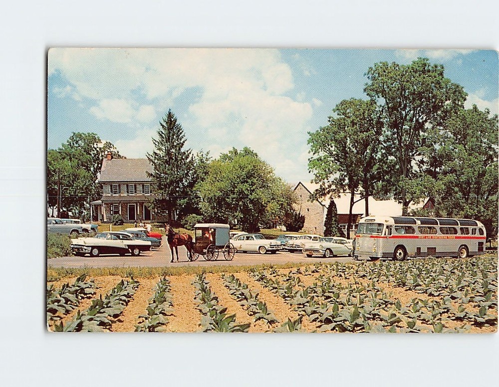 Postcard The Amish Farm & House Lancaster Pennsylvania USA North America