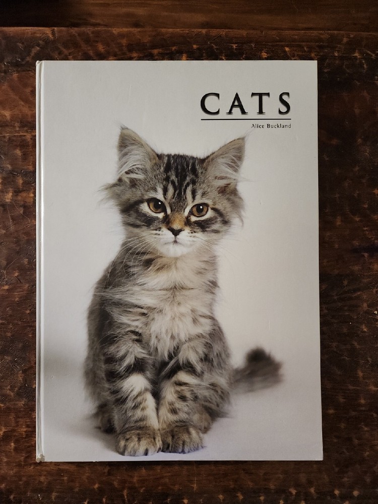 Cats By Alice Buckland 2007 Oversized Book