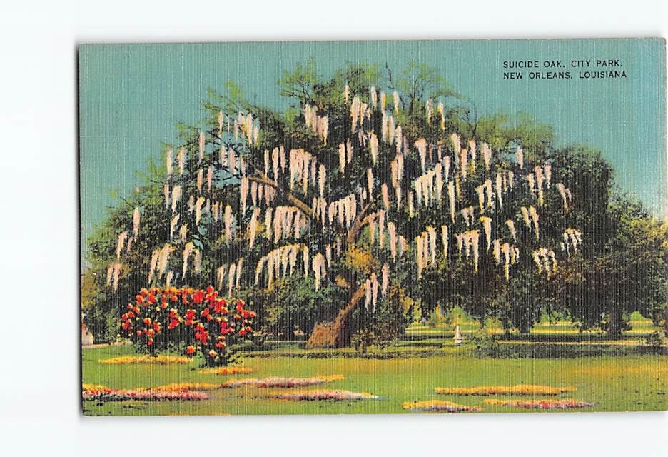 Postcard Suicide Oak City Park New Orleans Louisiana USA