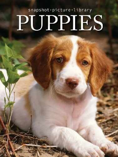 Snapshot Picture Library Puppies by - Hardcover, by Sonia Vallabh - Very Good