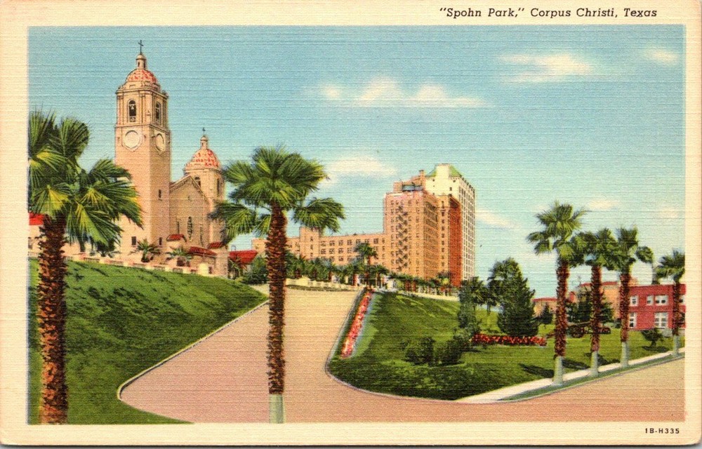 c1940s View of Spohn Park Corpus Christi Texas Vintage Postcard