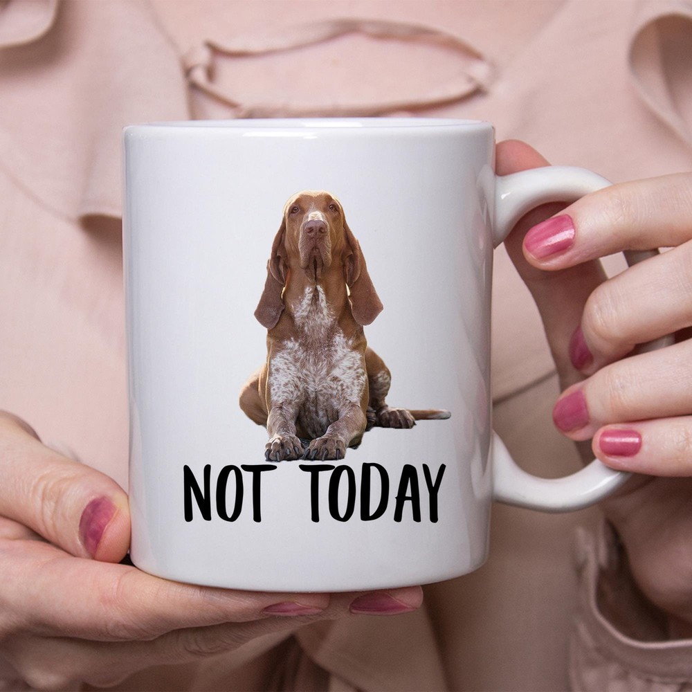 Funny Not Today Lazy Dog Mug Gift for Bracco Italiano Dog Moms