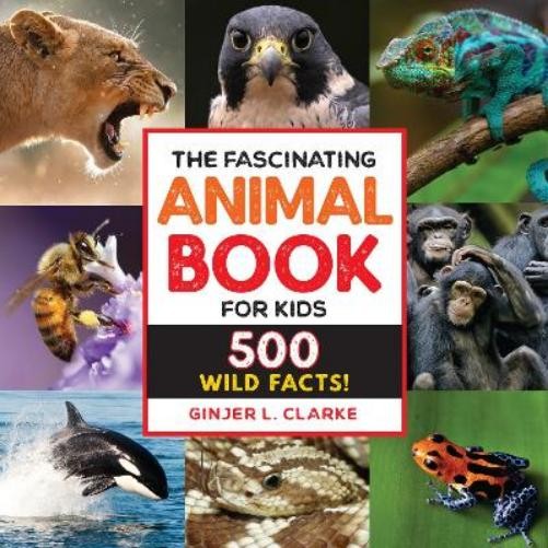 Ginjer Clarke The Fascinating Animal Book for Kids (Paperback) Fascinating FactsAnother great item from Rarewaves USA | Free delivery!