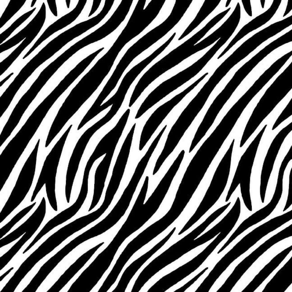 Blank Quilting A To Zoo Zebra Print Black White Cotton Fabric By The Yard