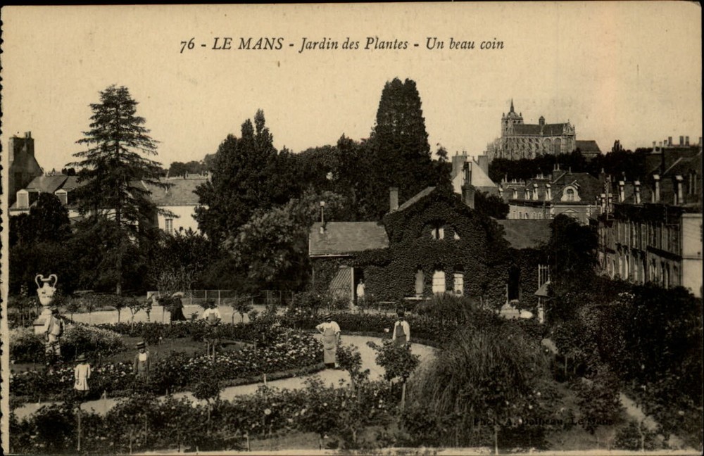 Garden des Plantes Le Mans Pays de la Loire France vintage postcard s583