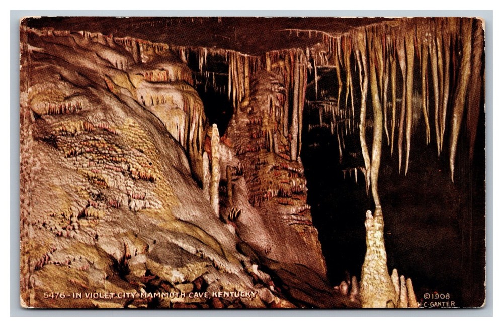 Mammoth Cave, KY Kentucky, In Violet City, Postcard