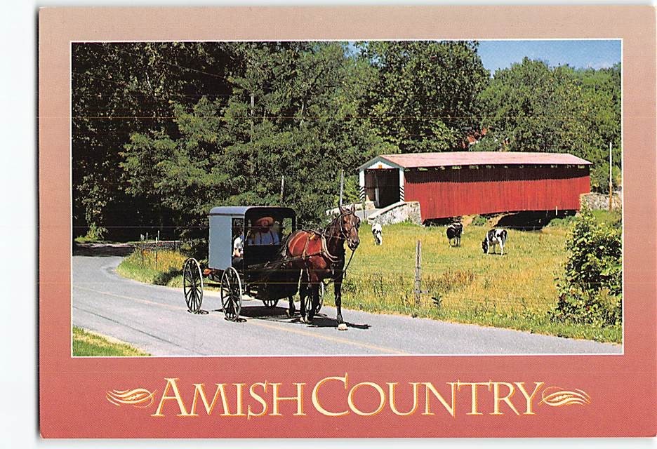Postcard Horse & Buggy & Covered Bridge Amish Country