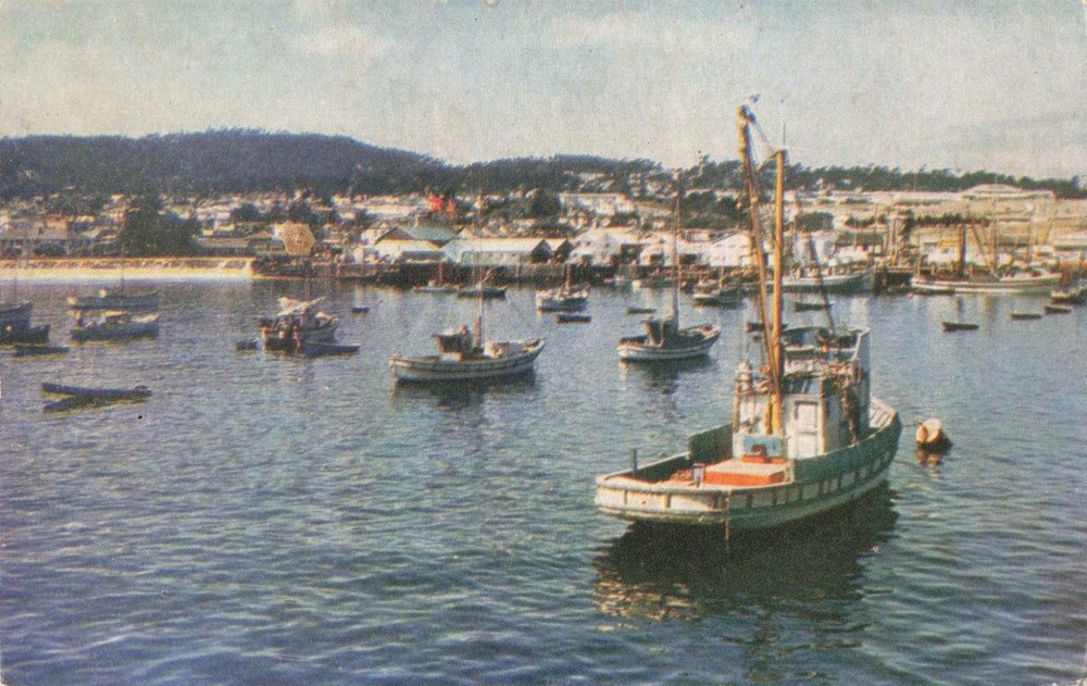 Monterey Harbor CA California, Fishing Fleet at Anchor, Vintage Postcard