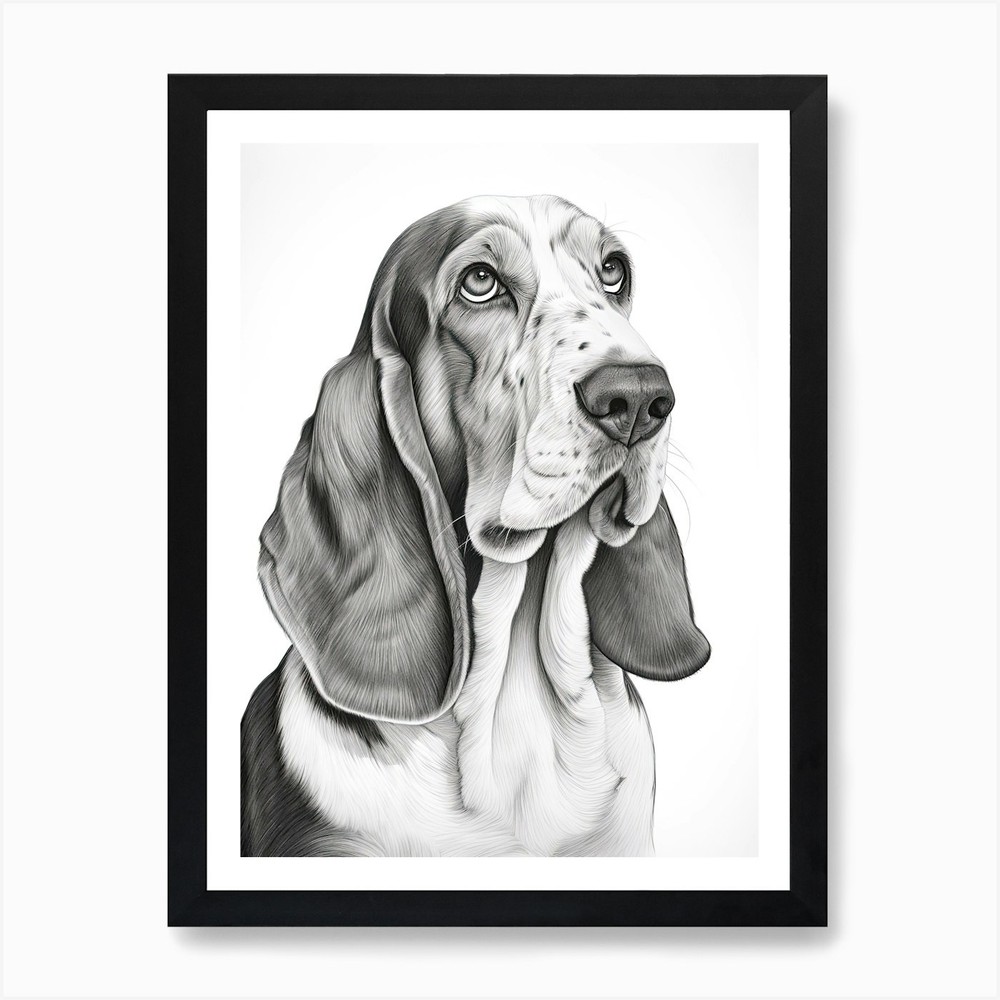 Basset Hound Line Drawing Framed Wall Art Canvas Print
