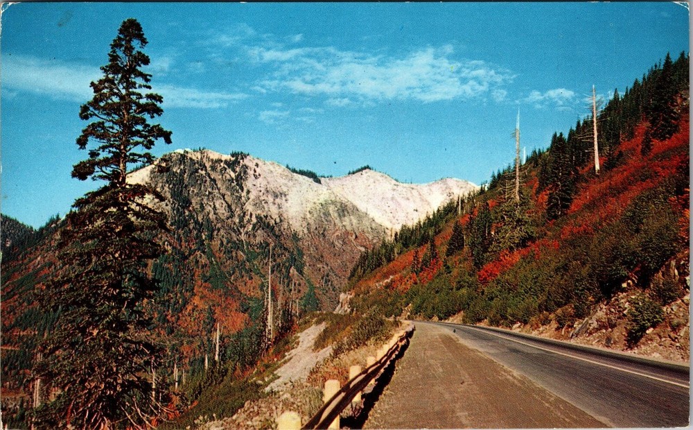WA-Washington, Stevens Pass, Scenic Mountain View, Vintage Postcard