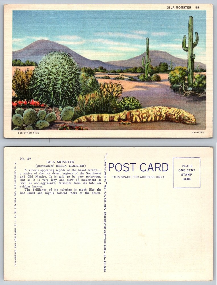Vintage Gila Monster Desert Southwest Linen Postcard Curt Teich 1955