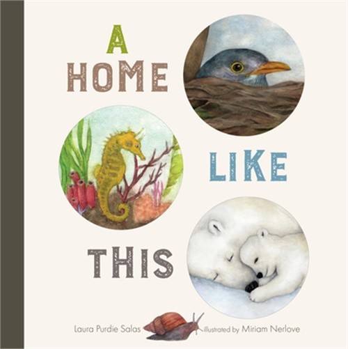 A Home Like This (Board Book)