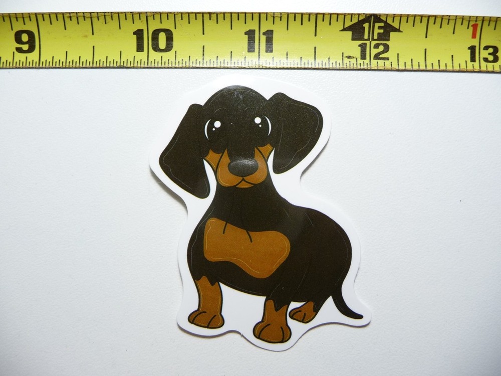 Hypnotized Dachshund Sticker Decal - Cute Dog Pet Pride Adorable