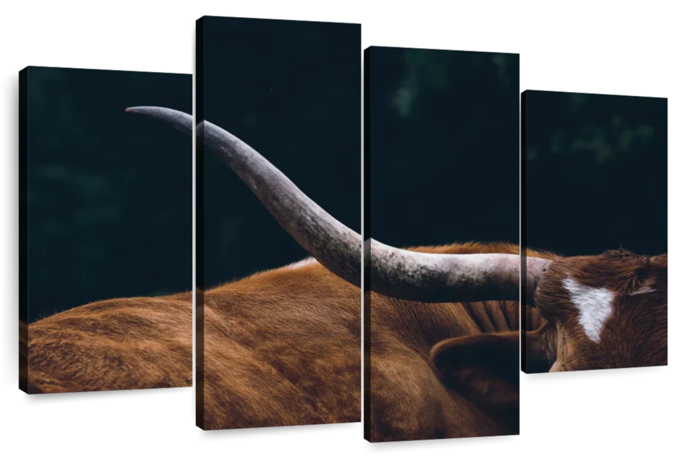 Cow Texas Longhorn Wall Art
