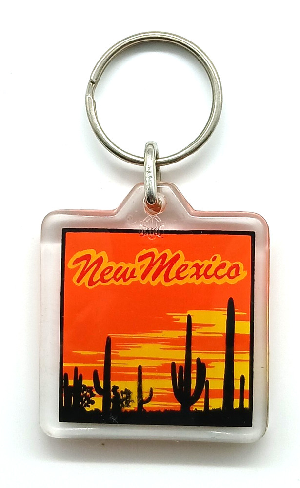 Vintage New Mexico Cactus Sunrise Sunset Desert Keychain Keyring