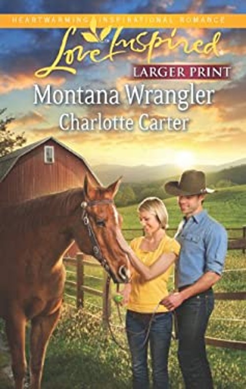 Montana Wrangler Mass Market Paperbound Charlotte CarterFree US Delivery | ISBN:0373817053