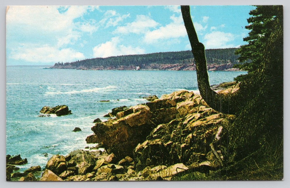 Vintage Postcard Otter Cliffs Acadia National Park Maine Coastline Plastichrome-image