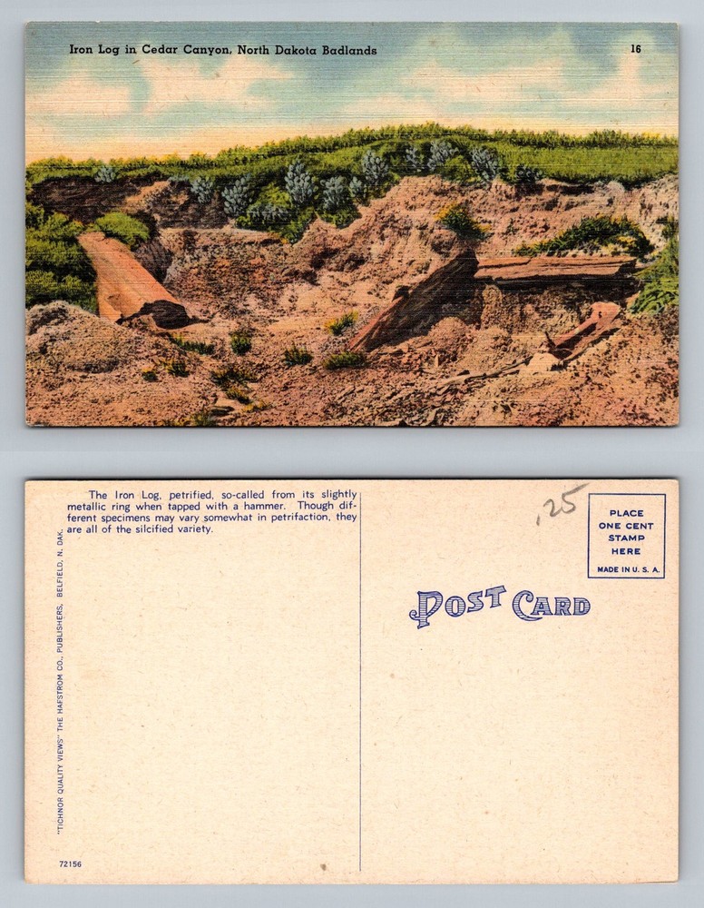 Medora, ND-North Dakota, Badlands Iron Log In Cedar Canyon Vintage Postcard