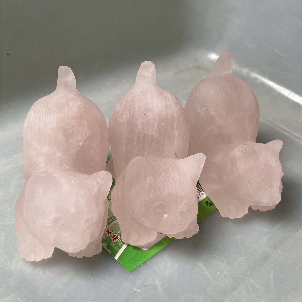 2.2 Rose Pink Quartz Crystal Skull Carved Reiki Healing Cat