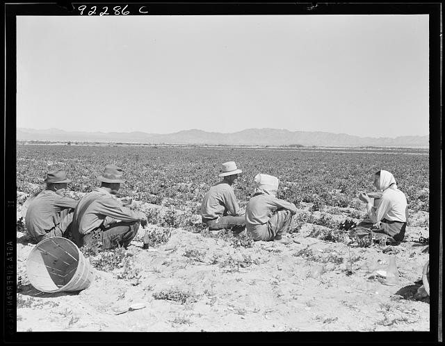 Calipatria California 1939 Pea Field Workers Lunchtime Camp Background