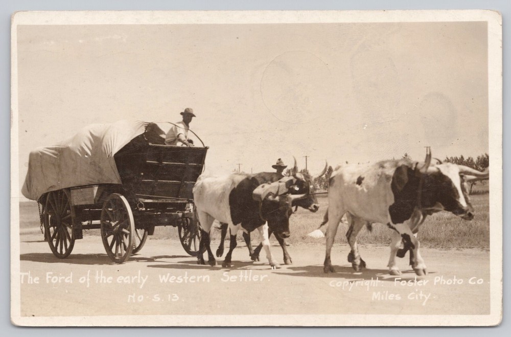 Miles City Montana, Settlers Oxen & Wagon, Vintage RPPC Real Photo Postcard