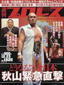 WEEKLY PRO-WRESTLING 2015 December 23 Japan Book Magazine Japanese book form JP