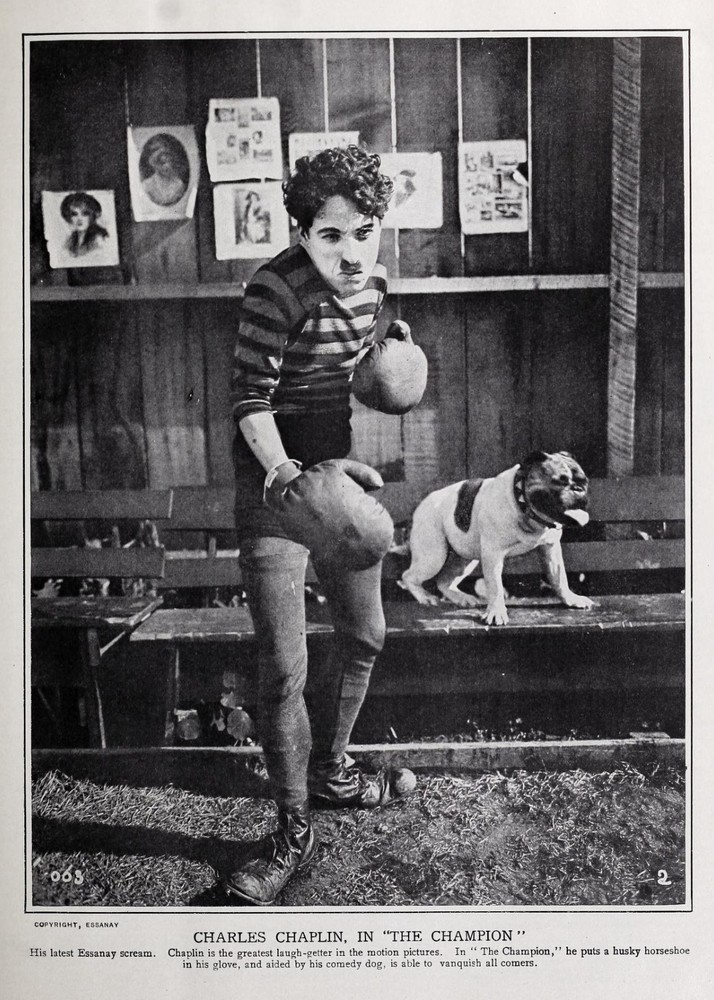 CHARLIE CHAPLIN as a Boxer & Cute Dog - 5 x 7 inch Photo Print
