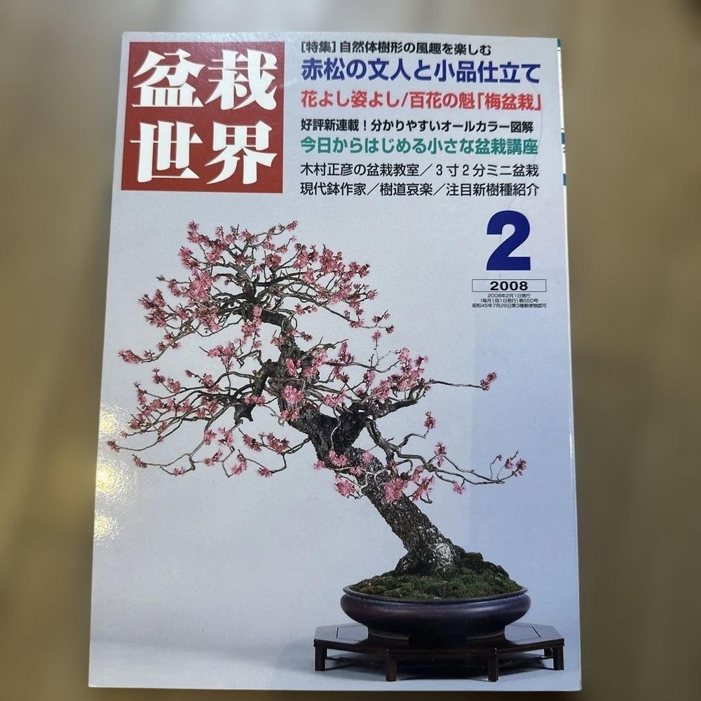 Bonsai World Magazine Feb 2008 Vol 2 Akamatsu Literary Figures Bonsai Techniques