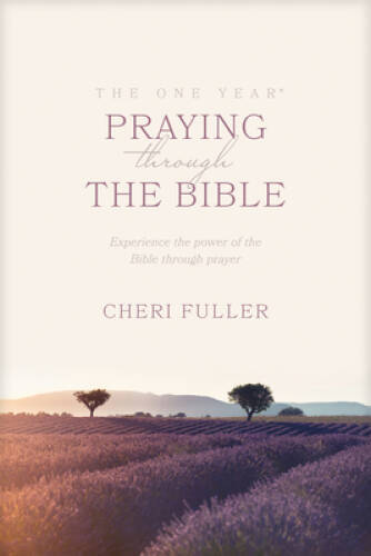 The One Year Book of Praying through the Bible - Paperback - ACCEPTABLE