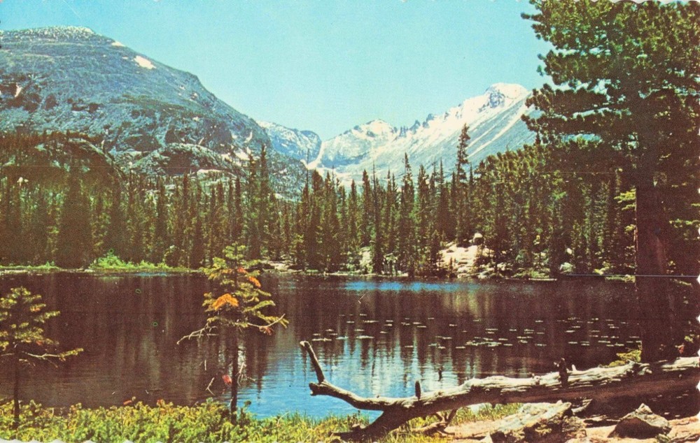 Long's Peak & Nymph Lake - Rocky Mountain National Park - Colorado CO - Postcard