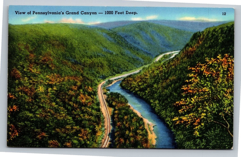 Vintage Pennsylvania's Grand Canyon Leonard Harrison State Park Postcard