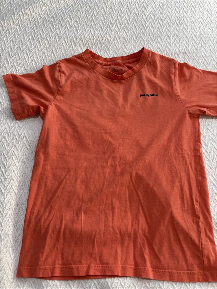 Patagonia Boys Size L (12) Colorful Logo T-Shirt Orange