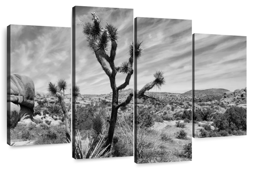 Desert Joshua Tree Wall Art