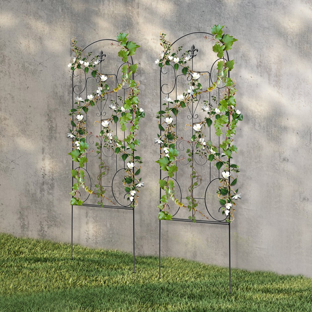 2 Pack Garden Trellis for Climbing Plants Black Potted Support Vines Steel Tube