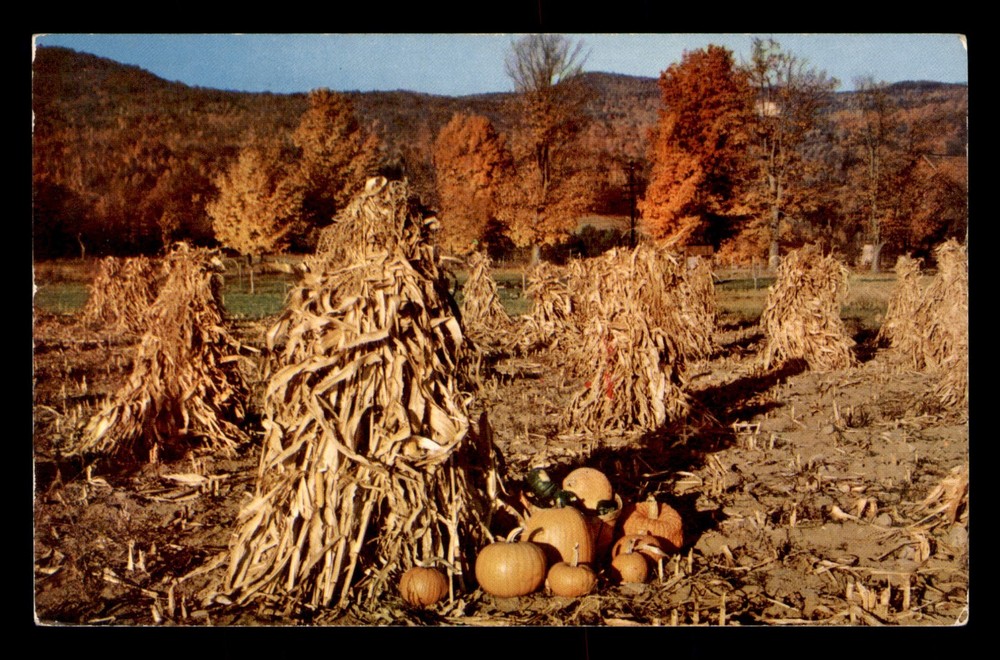 Flaming Foliage Pocono Mountains Pennsylvania PA Posted Postcard