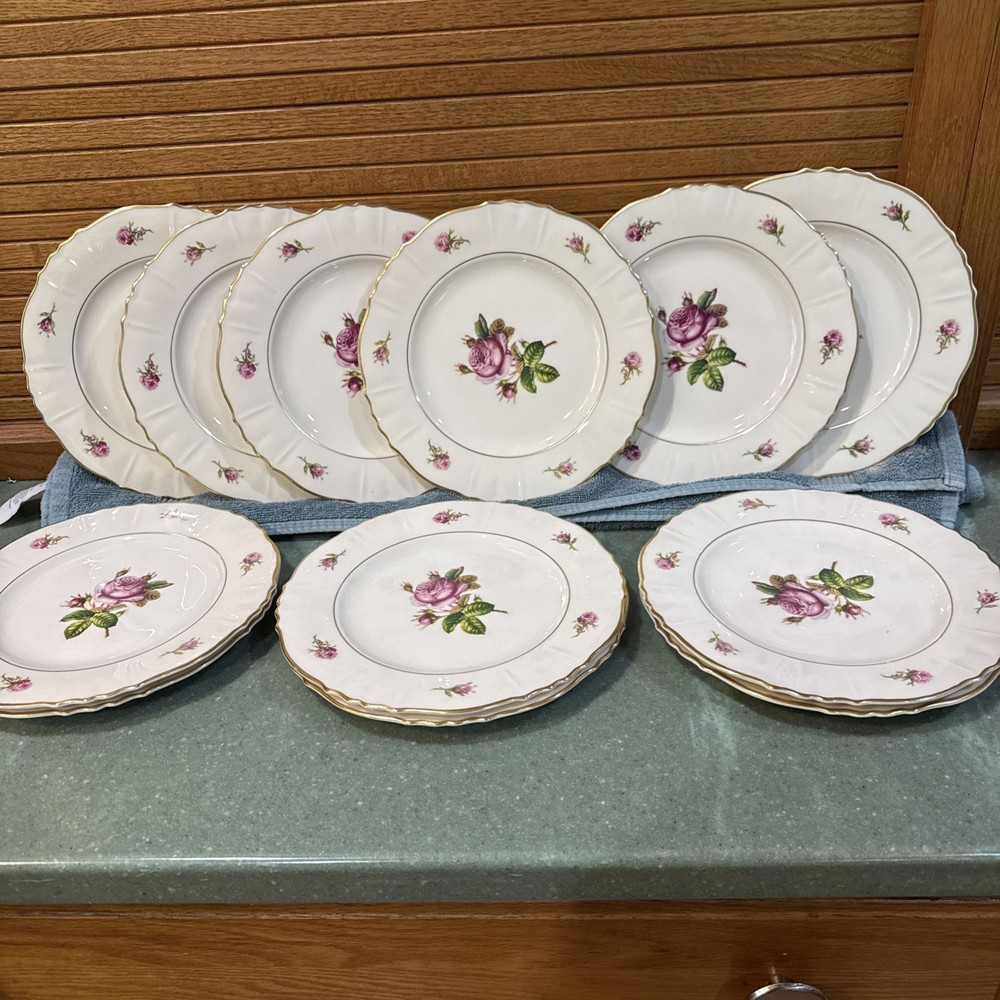 Federal Shape Syracuse China Set of 12 Victoria Rose Salad Plates 8