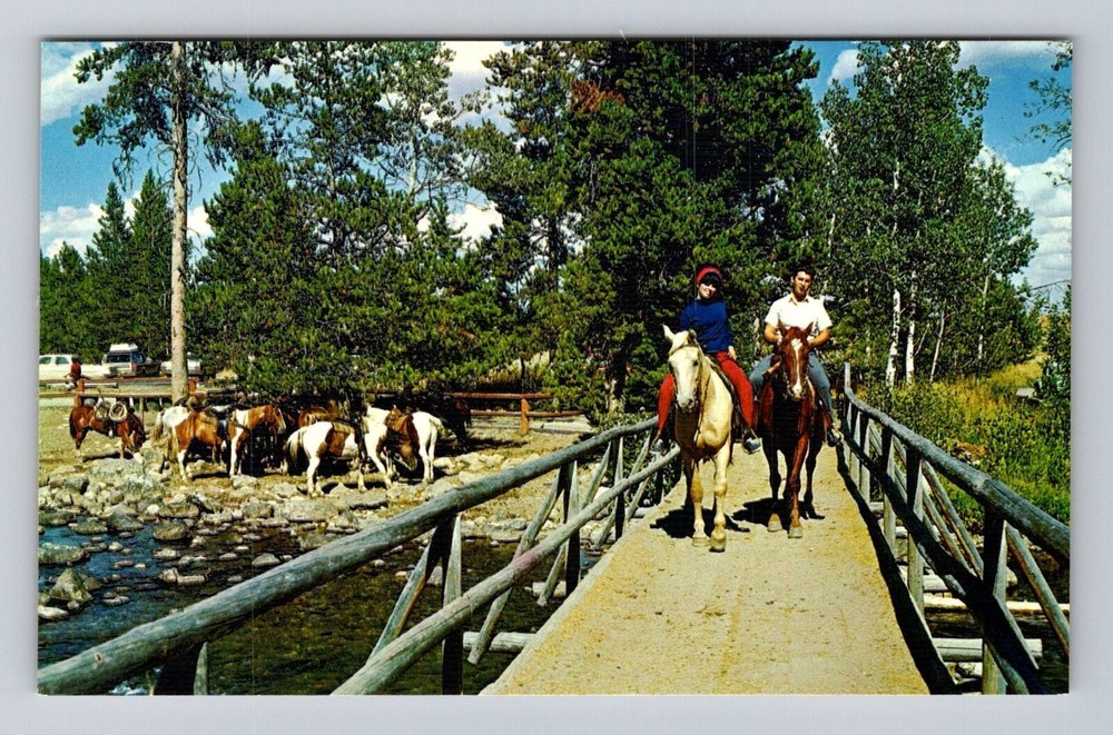 Grand Teton National Park, Horseback Riding, Antique, Vintage Souvenir Postcard