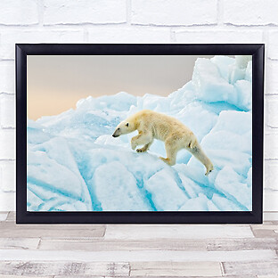Polar Bear Arctic Wildlife Iceberg Frozen Wall Art Print  