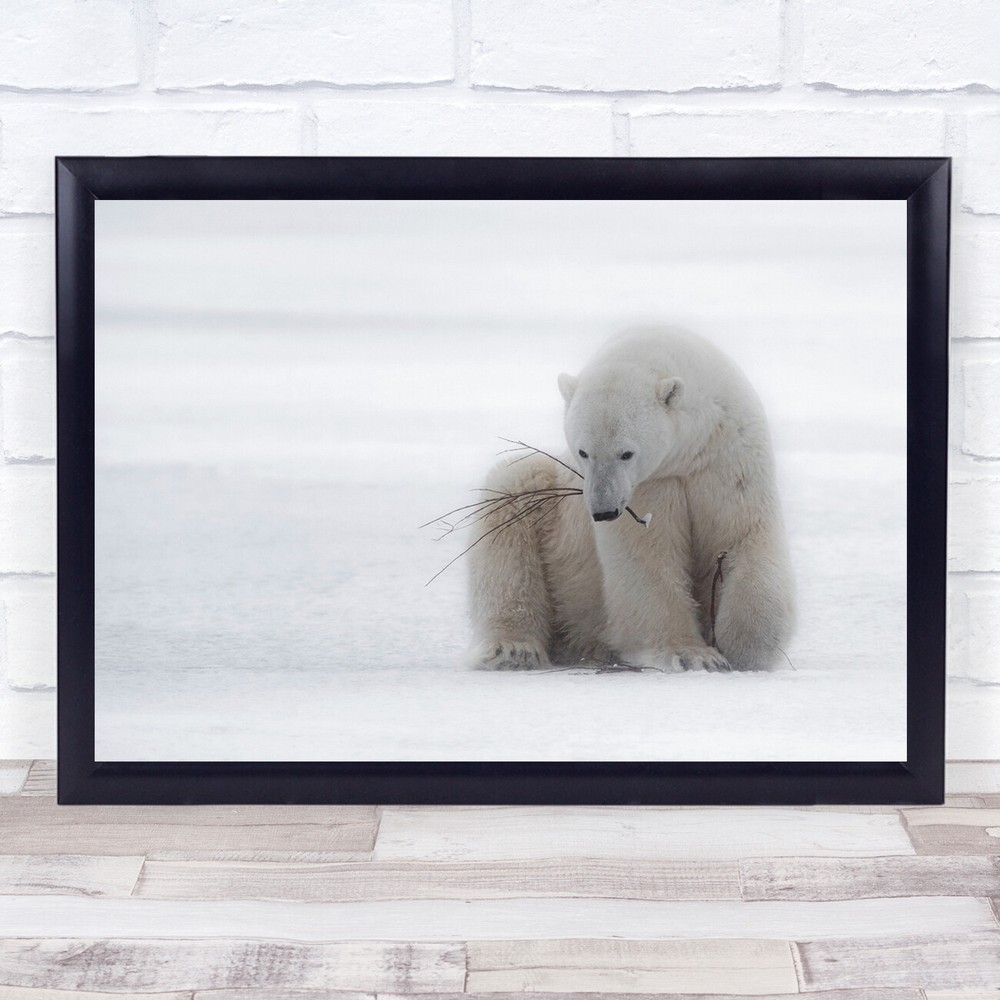 Polar Bear Playing With Branch Wildlife Wall Art Print