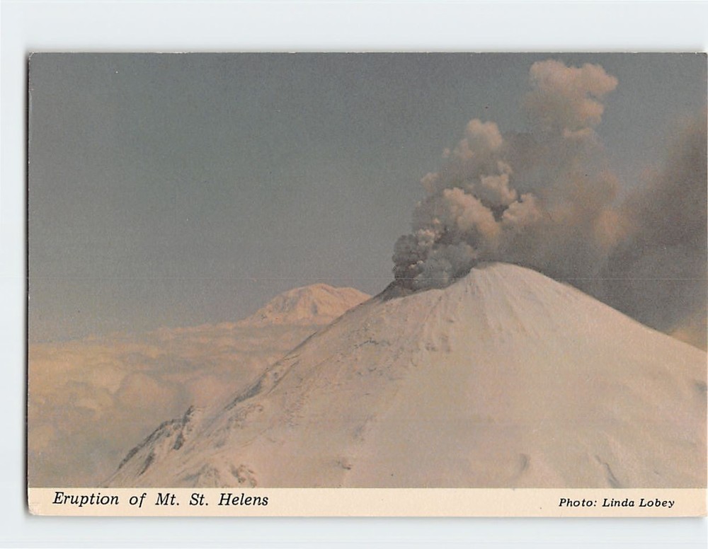 Postcard Eruption of Mt. St. Helens Washington USA