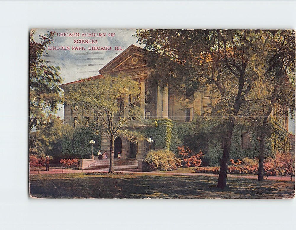 Postcard Chicago Academy of Sciences Lincoln Park Chicago Illinois-image