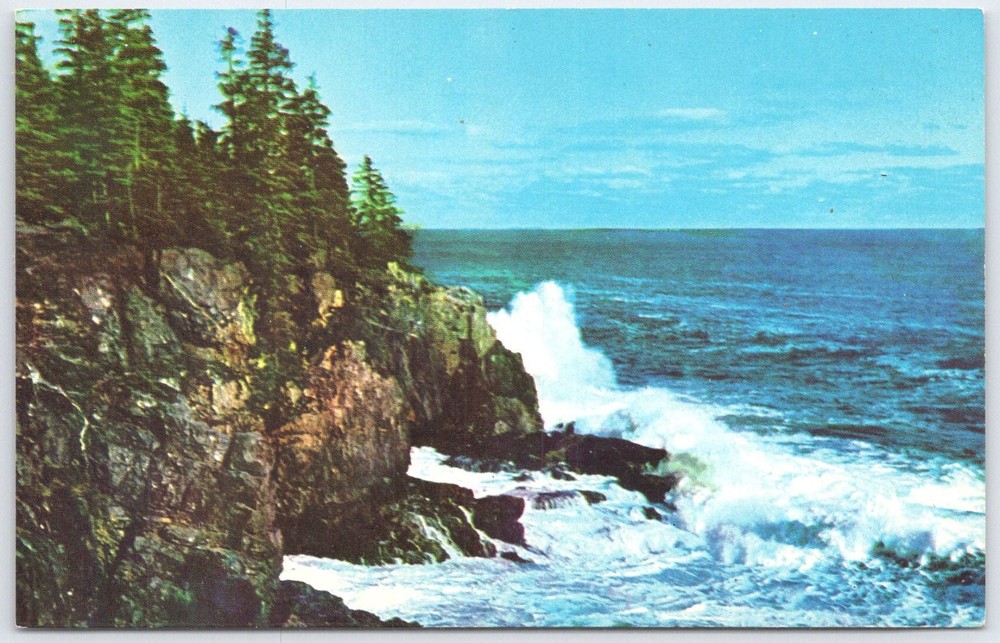 Otter Cliff Bar Harbor Maine Acadia National Park Vintage Postcard-image