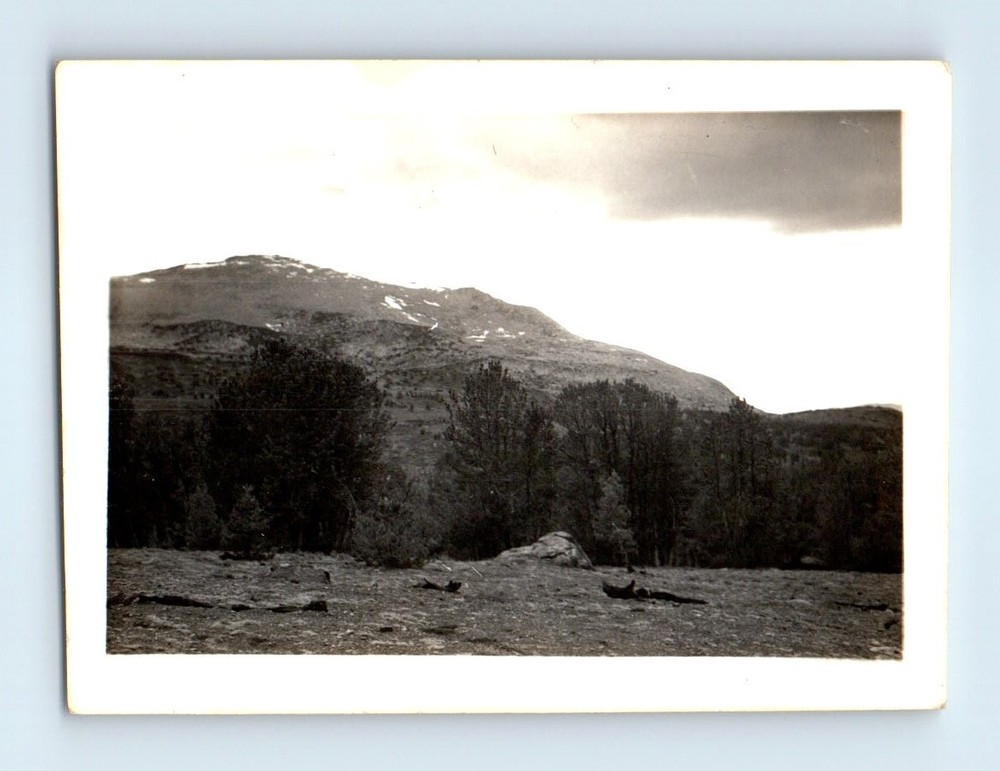Old Vintage Photo MOUNTAIN LANDSCAPE TREES CLOUDS DRAMATIC SKY SNAPSHOT PIC